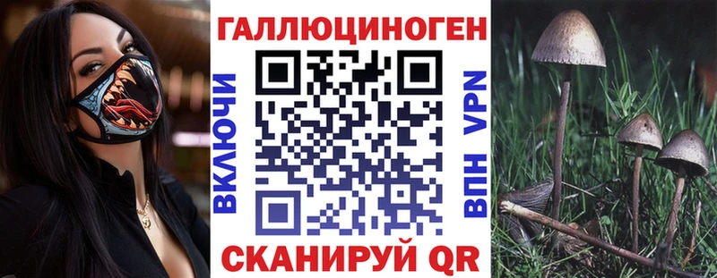 цена наркотик  Таштагол  Галлюциногенные грибы Psilocybine cubensis 